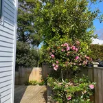 Rent 4 bedroom house in Auckland