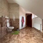 Rent 3 bedroom apartment of 90 m² in Praha