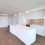 Rent 1 bedroom apartment in Albert-Eden