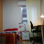 Rent a room in madrid