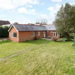 Detached bungalow to rent in Gables, Stodmarsh Road, Canterbury CT3