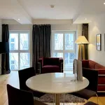 Rent 1 bedroom apartment of 42 m² in frankfurt