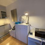 Rent 1 bedroom apartment of 45 m² in Frankfurt