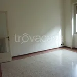 Rent 4 bedroom apartment of 120 m² in Novara