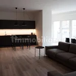 Rent 5 bedroom apartment of 300 m² in Piacenza