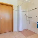 Rent 1 bedroom apartment of 27 m² in Schönebeck