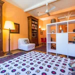 Rent 1 bedroom apartment of 49 m² in Florence