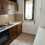 Rent 3 bedroom apartment of 70 m² in Montesilvano