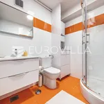 Rent 1 bedroom apartment of 62 m² in Zagreb