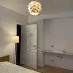 Rent a room in brussels