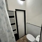 Rent 1 bedroom apartment in Sokolov