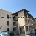 Rent 2 bedroom apartment of 55 m² in Ajaccio