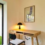 Rent 1 bedroom apartment in porto