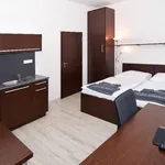 Rent 1 bedroom apartment of 24 m² in Brno