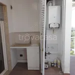 Rent 4 bedroom apartment of 100 m² in Bari