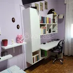 Rent 3 bedroom apartment of 100 m² in Pavia