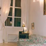 Rent 1 bedroom apartment of 26 m² in Lyon 1