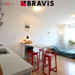 Rent 1 bedroom apartment of 29 m² in Brno