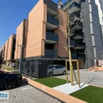 Rent 3 bedroom apartment of 85 m² in Bologna