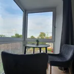 Rent 2 bedroom apartment of 35 m² in Essen