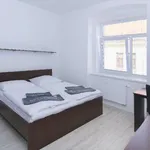 Rent 1 bedroom apartment of 24 m² in Brno