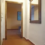 Rent 1 bedroom apartment of 49 m² in Brno