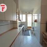 Rent 3 bedroom apartment of 110 m² in Padua