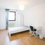 Rent a room in dusseldorf