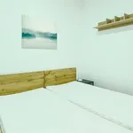 Rent 1 bedroom apartment in Brno