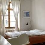 Miete 4 Schlafzimmer wohnung in Basel