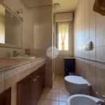 Rent 3 bedroom apartment of 70 m² in Rimini