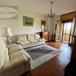 Rent 1 bedroom apartment in Molinella