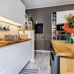 Rent 2 bedroom apartment of 65 m² in Roma