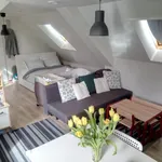 Rent 1 bedroom apartment of 29 m² in Roosendaal