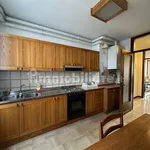 Rent 3 bedroom apartment of 100 m² in Treviso