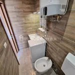 Rent 3 bedroom apartment of 55 m² in Turin