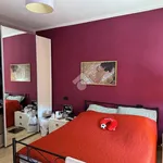 Rent 4 bedroom apartment of 100 m² in Bologna