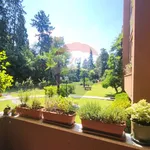 Rent 3 bedroom apartment of 120 m² in Varese