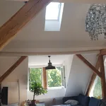 Miete 1 Schlafzimmer wohnung von 45 m² in Berlin