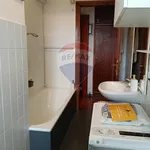 Rent 2 bedroom apartment of 50 m² in Treviso