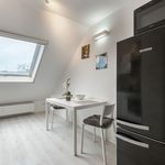 Rent 2 bedroom apartment of 45 m² in Frankfurt am Main