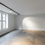 Appartement de 250 m² avec 1 chambre(s) en location à Antwerpen