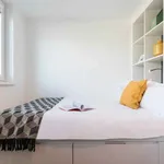 Rent 1 bedroom flat in Brighton