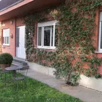 Rent 3 bedroom apartment of 90 m² in Torino