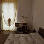 Rent 2 bedroom apartment of 50 m² in Turin