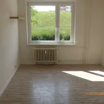 Rent 1 bedroom apartment in Most