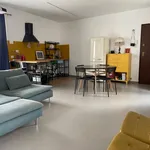 Rent 4 bedroom apartment of 100 m² in Novara