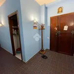 Rent 3 bedroom apartment of 1 m² in Roma