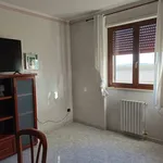 Rent 4 bedroom apartment of 120 m² in Brindisi