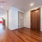 Rent 3 bedroom apartment of 95 m² in Praha